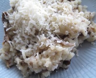 Trattkantarell risotto