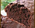 Moist Chocolate Zucchini Bread