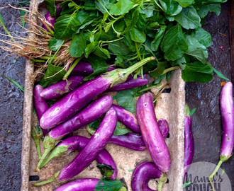 Brinjal pickle – indisk aubergine