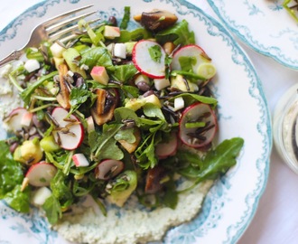 Vildrissallad med skogschampinjoner, avokado, äpplen och basilikacashewcreme