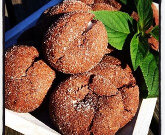 Chocolate marshmallows cookies