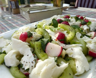 Gurksallad med mozzarella och rädisor