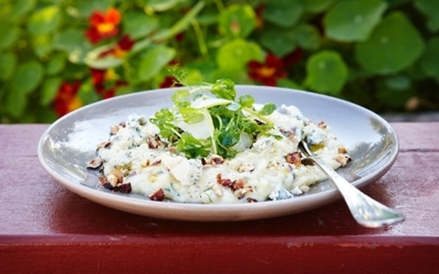 Risotto på rotselleri med rostade hasselnötter och ädelost