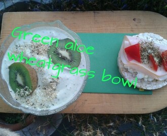 Vetegräs aloe green bowl