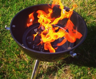 Grillade färsbiffar och grönsaker med avokado- och tomatröra