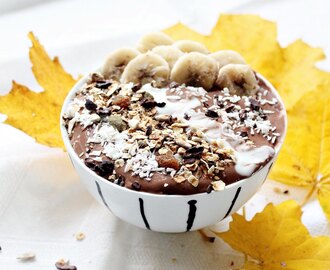 Vegan and Raw Chocolate Nana Cream bowl