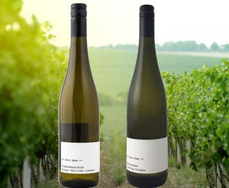 Kein Name Rheinhessen Trocken Riesling