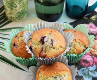 Glutenfria muffins med blåbär och vit choklad