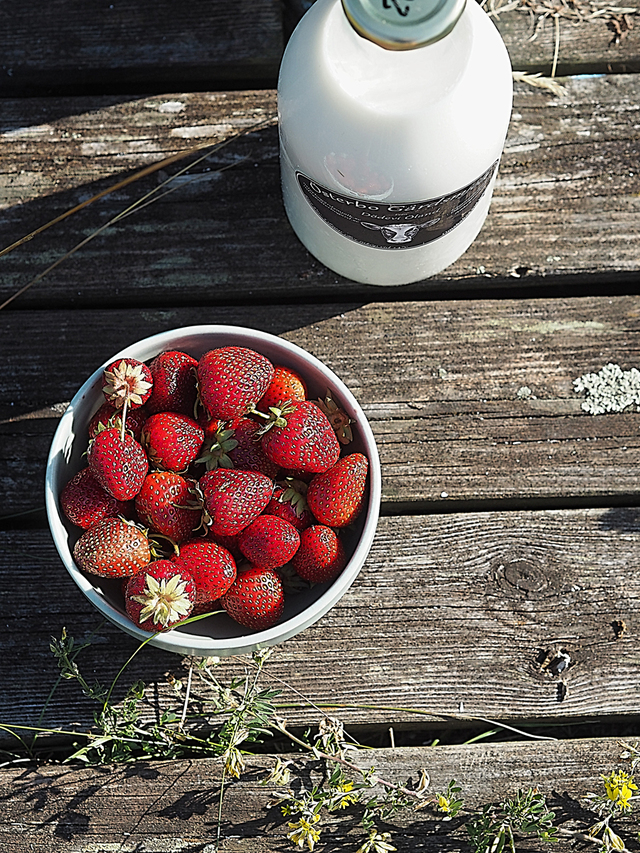 Jordgubbar och lokalproducerad mjölk- god jordgubbs milkshake
