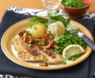 Panerad spätta med kantarellsås