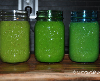 Vårruset – en grön smoothie med spenat, mango, ananas och kokosvatten