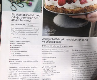 Färskpotatissallad m örtolja o parmesan