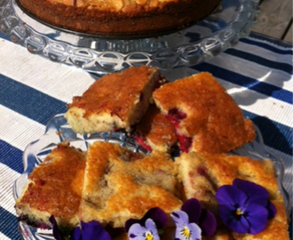 Gofika med Toscakaka och annat gott :).