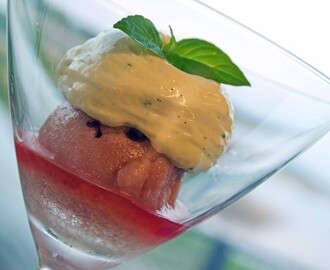 Sorbet på råmixad rabarber och campari med skum smaksatt av limebasilika