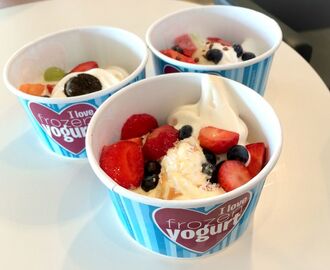 Frozen yogurt