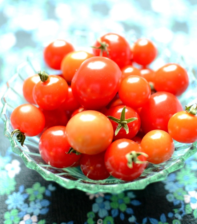 Window farming / en skål inomhusodlade tomater