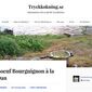 www.tryckkokning.se