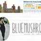 bluemushroom.blogg.se -