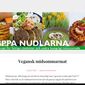 skippanudlarna.com